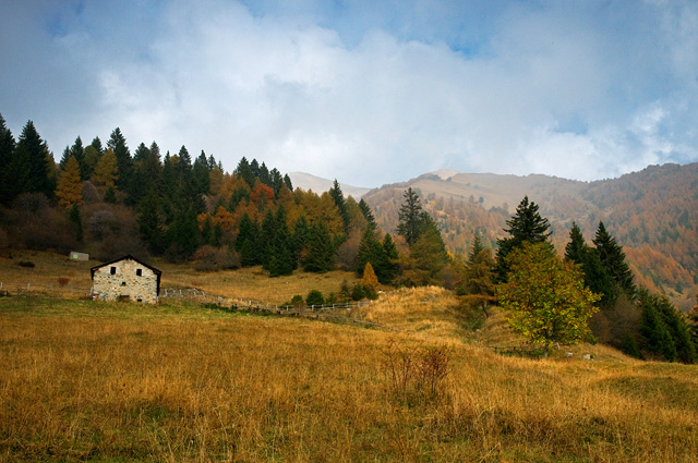 Little house