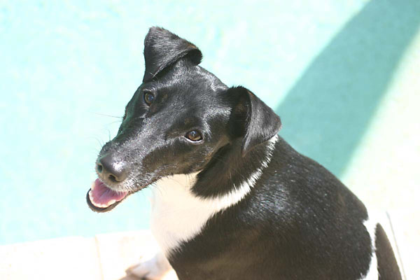 Matilda