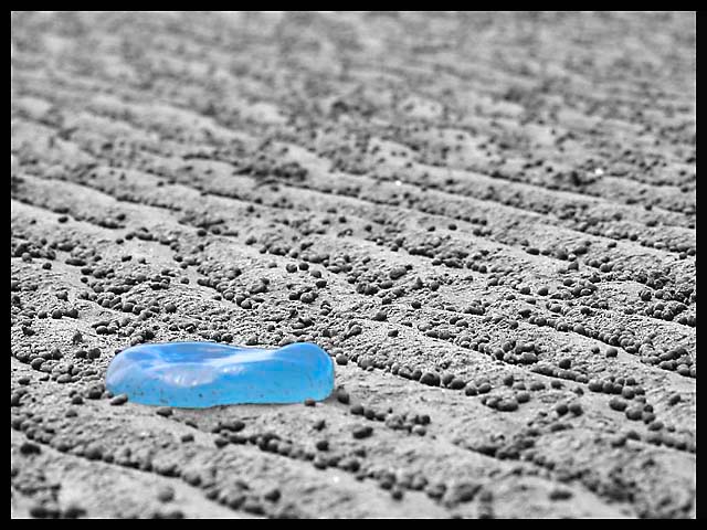 Blue Jelly