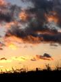 End of another day.JPG