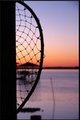 catchingthesun