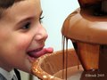 Taste of Chocolate