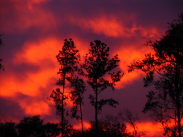 Fire in the Sky