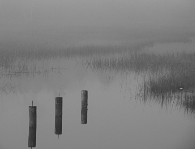 CRW_1081