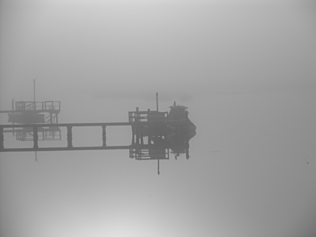 Lowcountry Haze