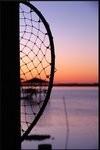catchingthesun