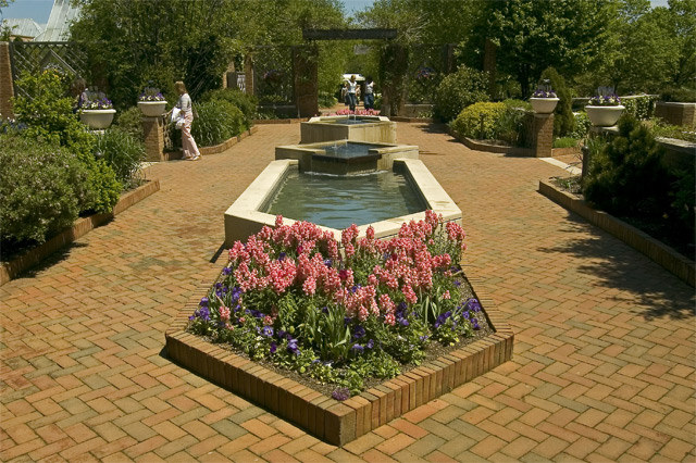 DSC_2986.jpg