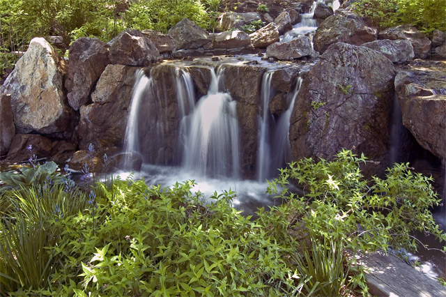 DSC_2997.jpg