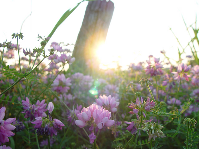 Along the Road
