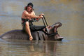Hippo Rider 2