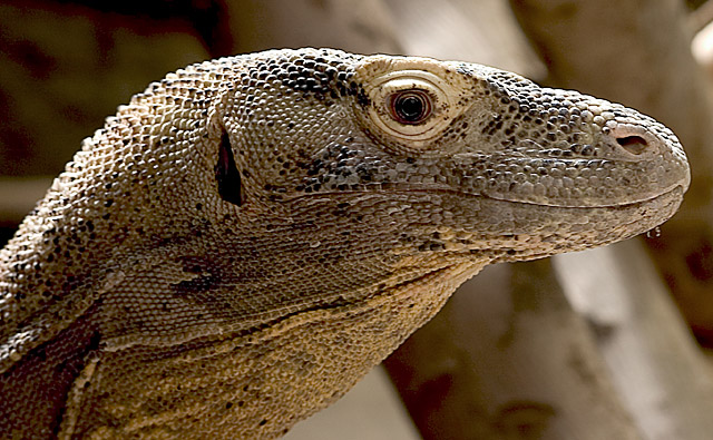 CRW_6337_sm.jpg