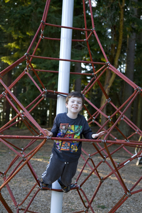 Monkeying Around