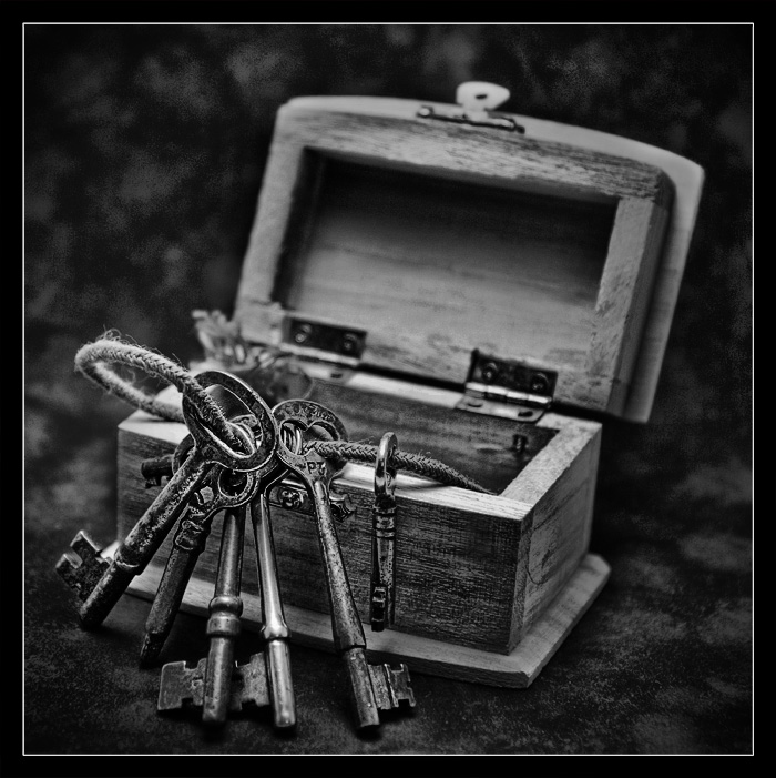 IMG_3979_bw