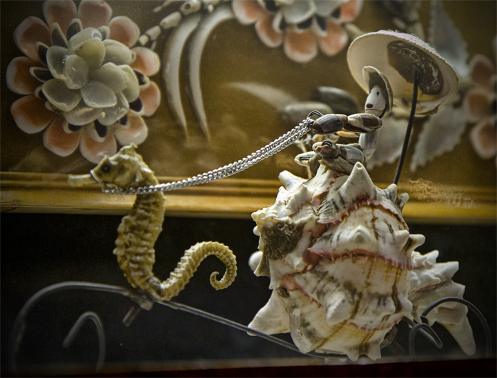 120403_IMG_4159_sm