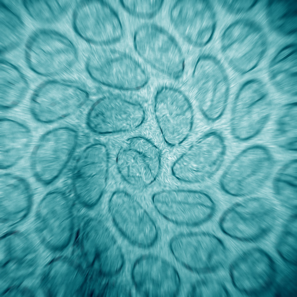 Biological