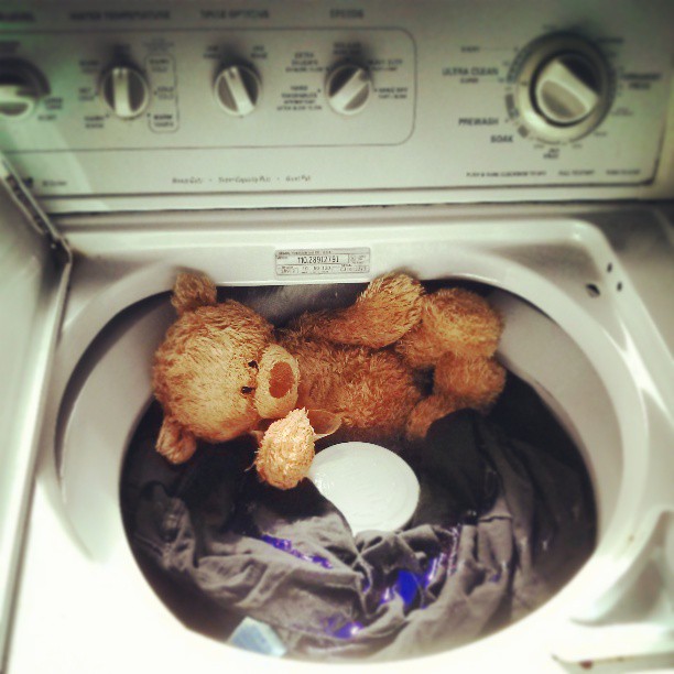 Puke Bear