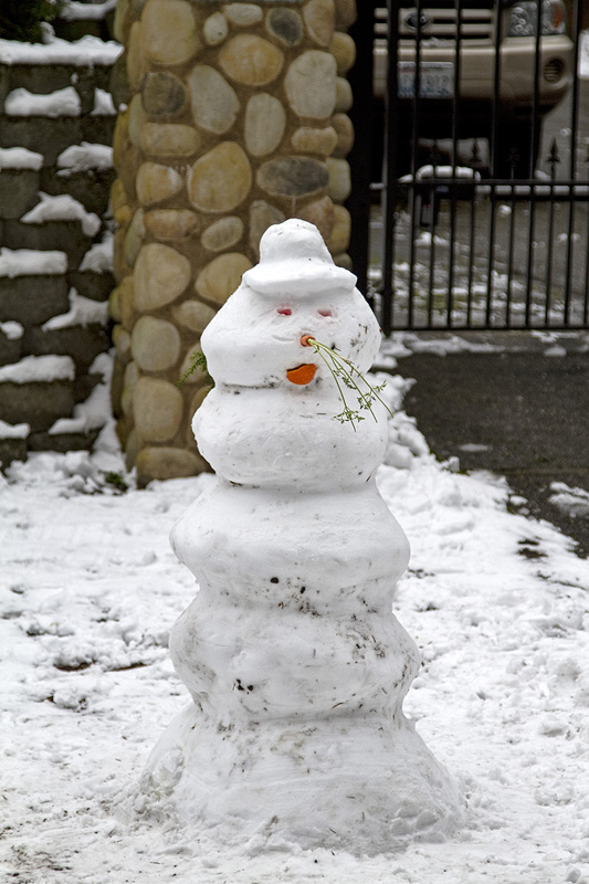 Snowman