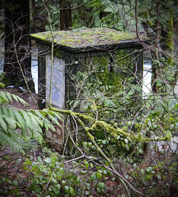 shack