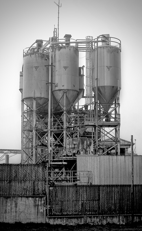 CRW_7879_sm
