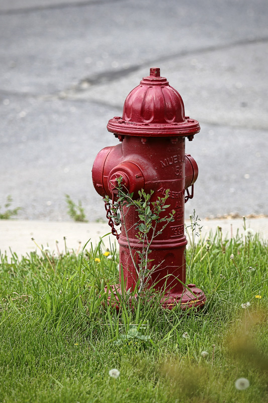 hydrant3
