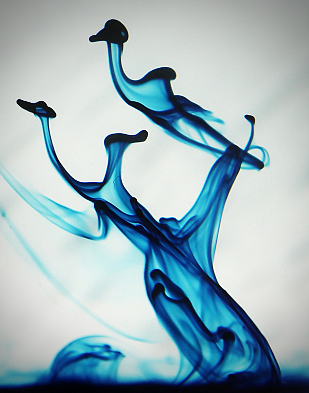 6D_3448a