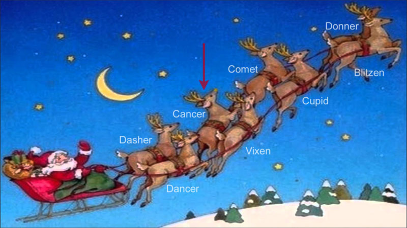 Santa's Reindeer