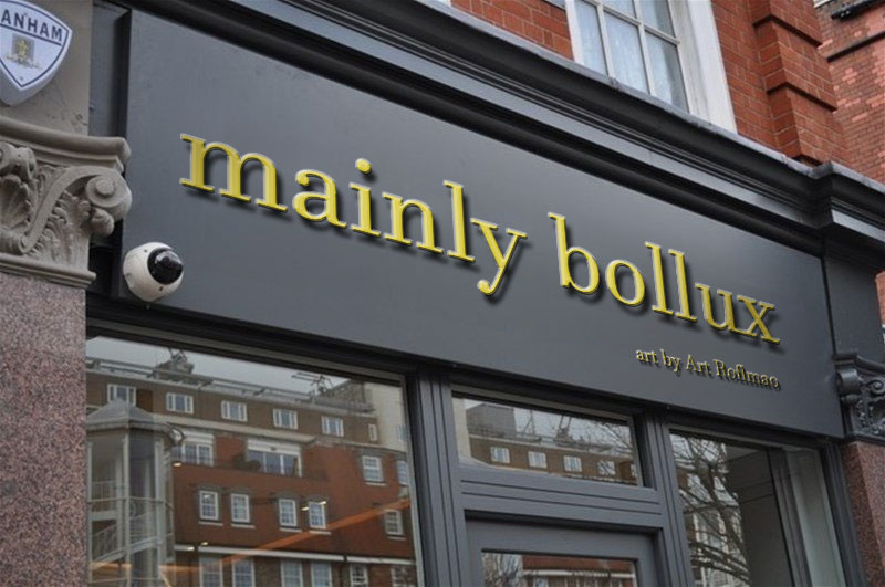 mainly bollux: an Art gallery