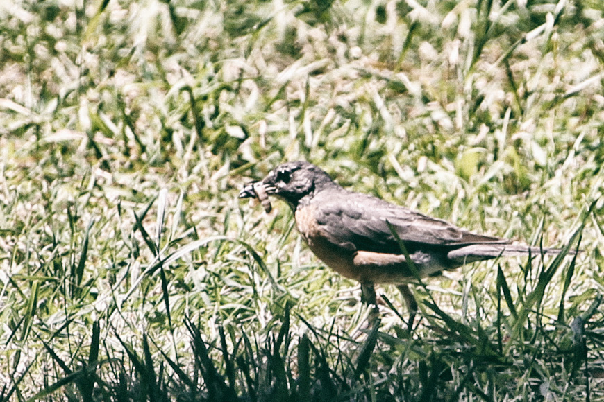 170722_7665_sm_AFX4