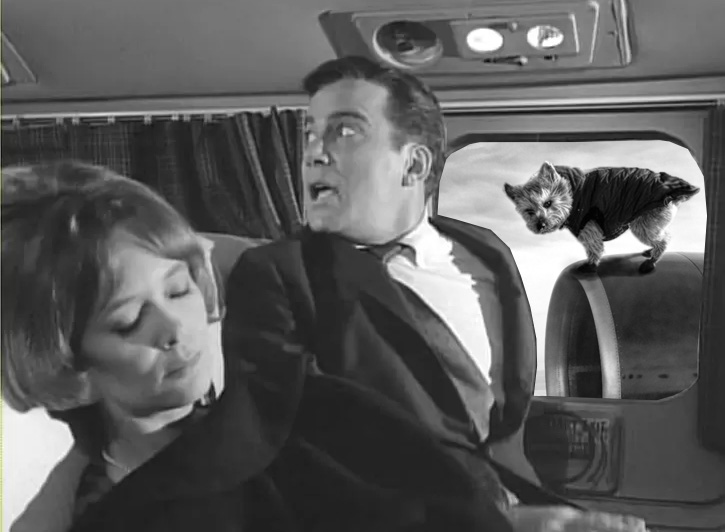 "There's something on the wing of this plane!!!" 