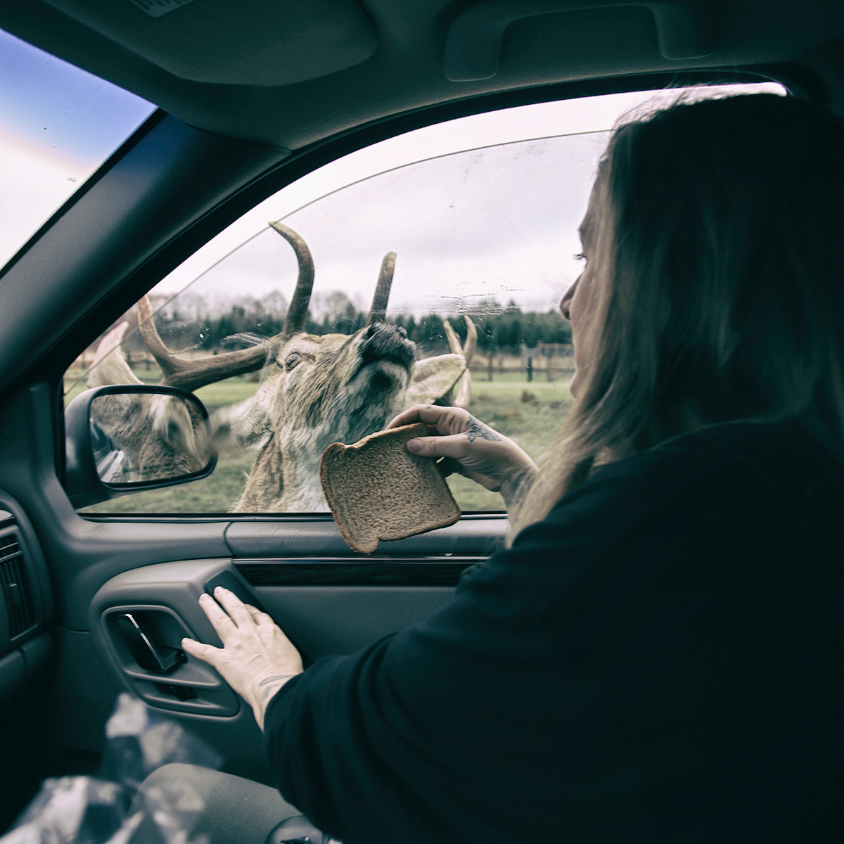  Hold your horses!