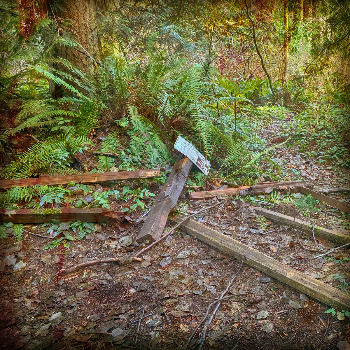 Native Growth Protection Area