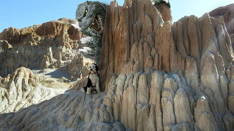 godzilla-behind-rock-withdog