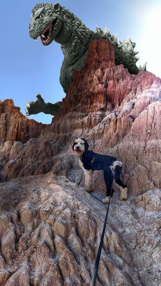 Godzilla-Dog-Canyon