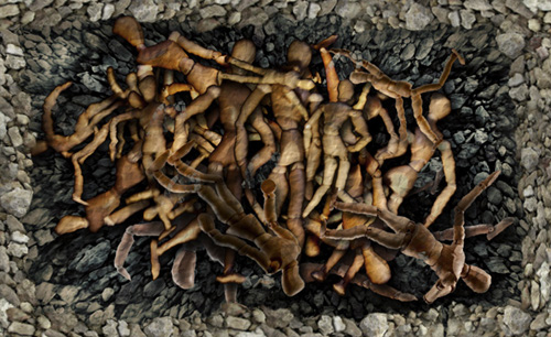 mass_grave.jpg