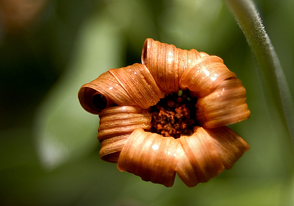 CRW_4877_sm.jpg