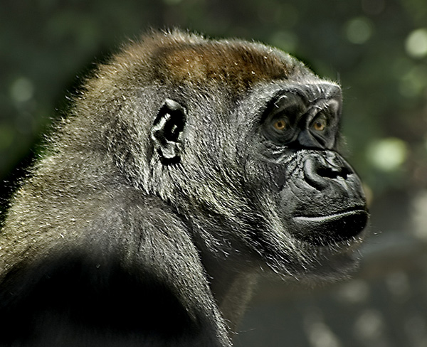 CRW_6198_sm.jpg