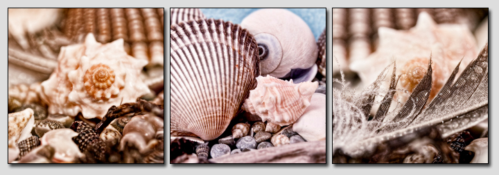 triptych3.jpg