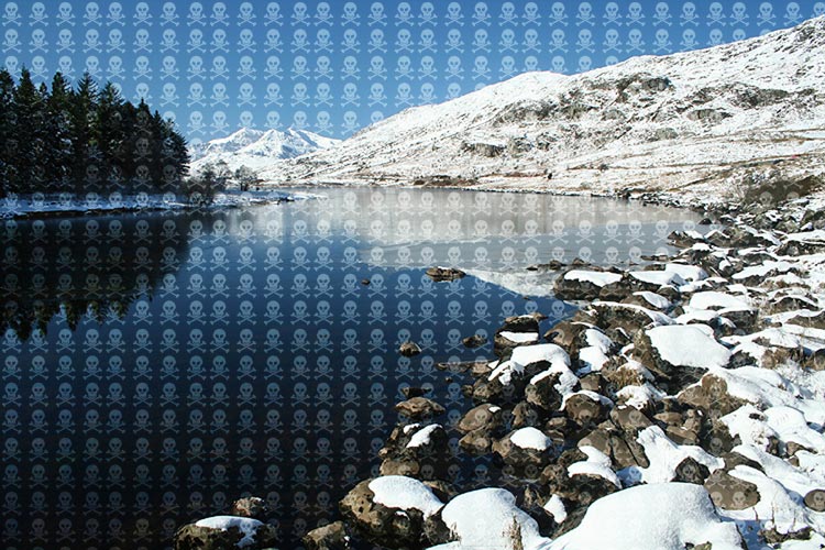 Weird Halftoning Pattern