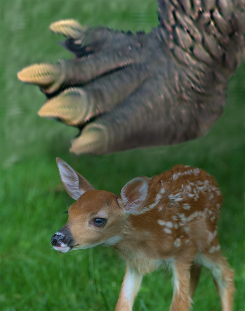 Bambi Meets Godzilla