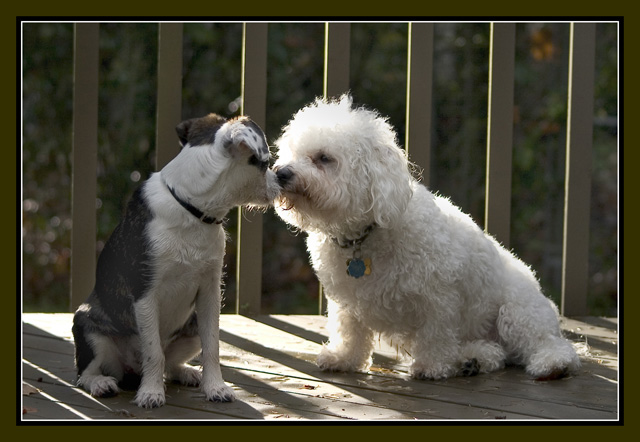 The Kiss