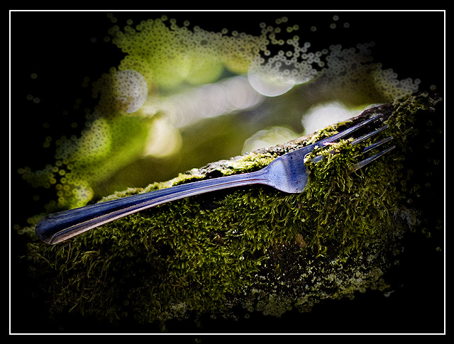 21: Moss