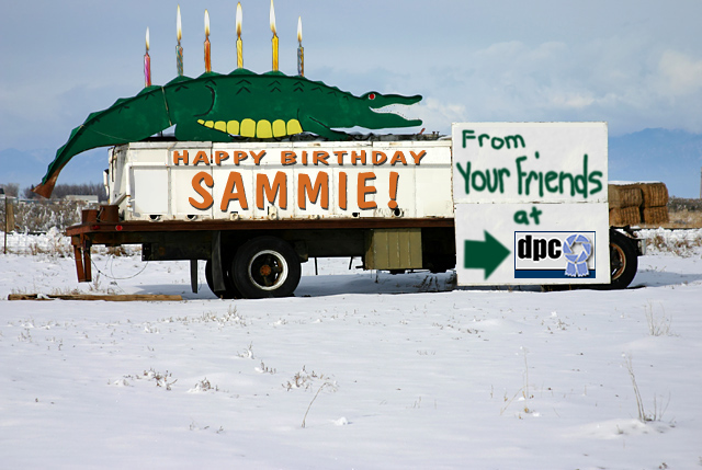 sammie_birthday.jpg