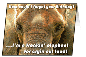 bday_cher.gif