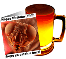 bday_dudephil.gif