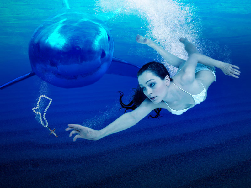 pearl_diver_shark.jpg