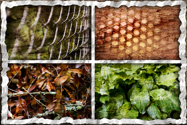 Backyard Textures