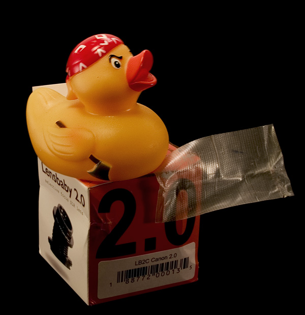 duck.jpg