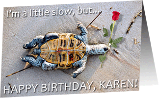 bday_krnodil.gif