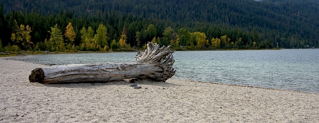 CRW_7395.jpg