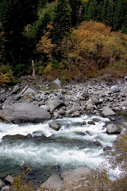 CRW_7631.jpg